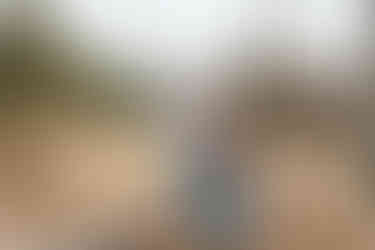 Gifford Pinchot State Park Engagement