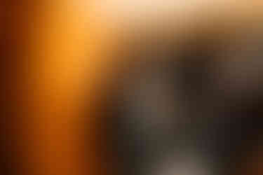 St Francis Hall Wedding