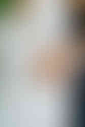 The Inn at Leola Village Wedding