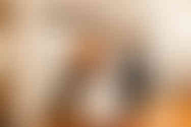 Lititz Springs Inn Wedding Reception