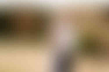 Stone Tower Winery Engagement