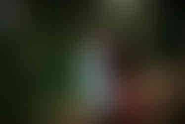 Overlook Engagement Photos