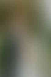 Pomme Radnor Wedding photos