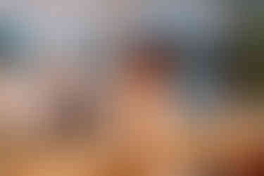 St. Michael's Vineyard Wedding