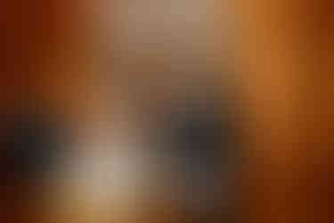 Historic Ashland Wedding