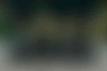 Pomme Radnor Groomsmen