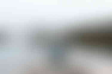 Gifford Pinchot State Park Engagement