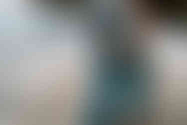 Gifford Pinchot State Park Engagement