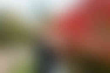 St. Michael's Vineyard Wedding