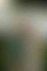 wildflower field engagement photos