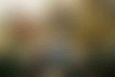 Lititz Springs Inn Wedding