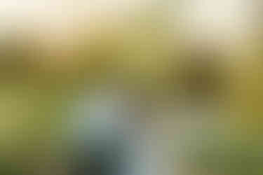 Reading Engagement Photos