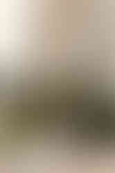 Washington DC Wedding