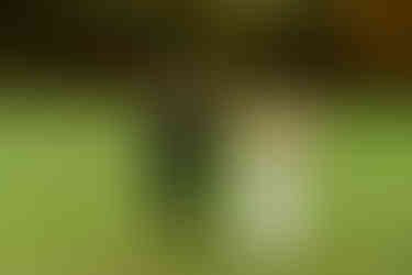 St. Michael's Vineyard Wedding