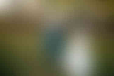 Lititz Springs Inn Wedding