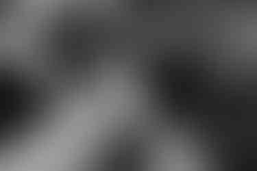 Box Hill Mansion Wedding Details