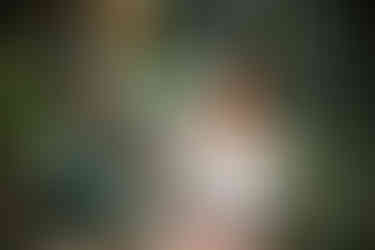 Holiday Engagement Photos