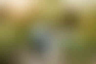 Reading Engagement Photos