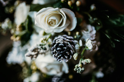 Wedding rings on pinecones