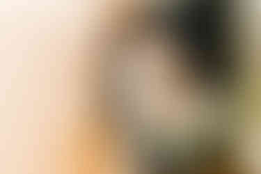 couple session photographer