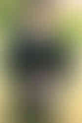 Wyndridge Farm Wedding