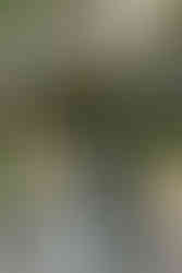 Pomme Radnor Wedding photos