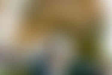 The Inn at Leola Village Wedding