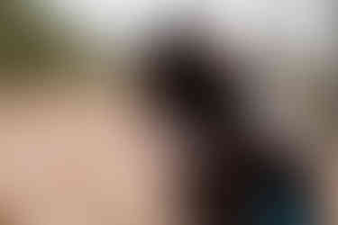 Gifford Pinchot State Park Engagement