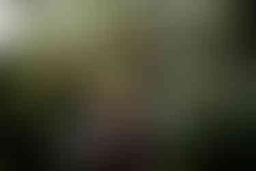 The Inn at Leola Village Engagement Photos