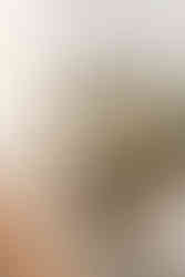 Lititz Springs Inn Wedding Details