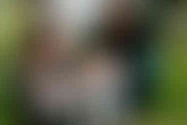 Valley Forge National Park Engagement Photos