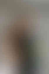 Seven Maples Wedding