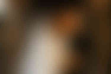 St Francis Hall Wedding