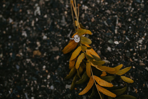 bethlehem steelstacks engagement photos