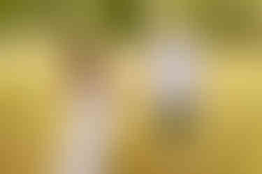 Stone Tower Winery Engagement