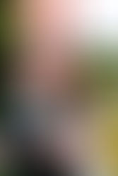 Wyndridge Farm Wedding
