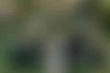 Pomme Radnor Bridal Party