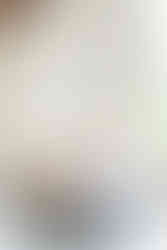 Elkins Estate Wedding