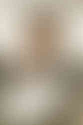 Washington DC Wedding