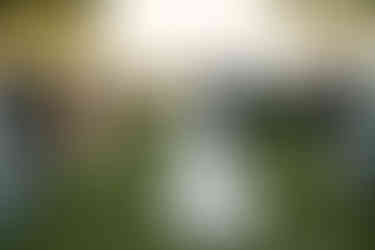 Box Hill Mansion Wedding Ceremony