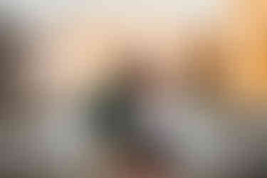 Holiday Engagement Photos