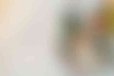 Lititz Springs Inn Wedding