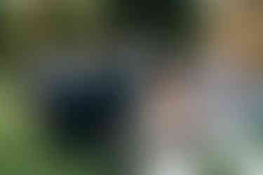 Box Hill Mansion Wedding Ceremony