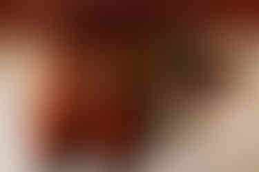 Lititz Springs Inn Wedding Details