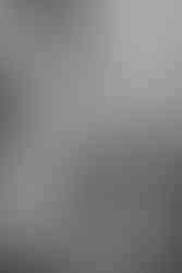 Washington DC Wedding