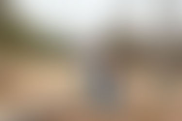 Gifford Pinchot State Park Engagement