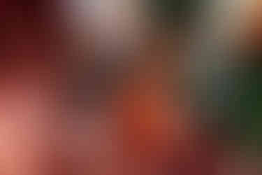 Lititz Springs Inn Wedding Details