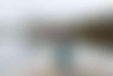 Gifford Pinchot State Park Engagement