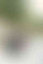 Box Hill Mansion Wedding