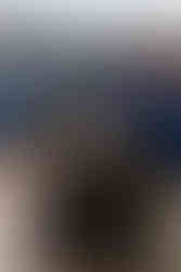 Box Hill Mansion Wedding